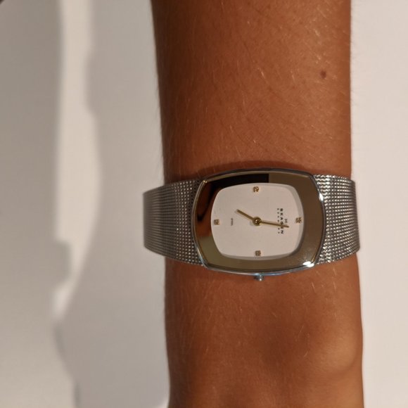 Skagen Denmark Women\'s Stainless Steel Watch main image 4